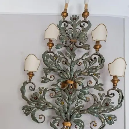 Butterfly Panoramic *